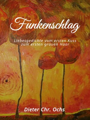 cover image of Funkenschlag
